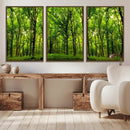 Lush Green Forest Canvas Print | 3-Panel Forest Wall Art |