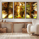 Sunshine in Forest and Trees Wall Art Canvas Print by MyGreatCanvas | Canvas Wall Art Prints | Photo Prints & Wall Decor