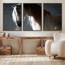 Large Wall Art Cream Colored Horse on Grey Background Canvas
