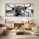 Black and White Scottish Cow Canvas Wall Art Highland Cattle