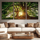Majestic Ancient Tree Wall Art, NatureCanvas Print, Woodland by MyGreatCanvas | Canvas Wall Art Prints | Photo Prints & Wall Decor