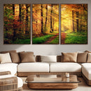 Sunlight Through Trees Wall Art Canvas Print - Autumn Forest