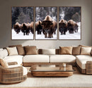 Bison Wall Art Canvas Print- Bison Herd Canvas Wall Art –