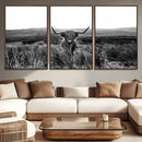 Black and White Highland Cow Canvas Wall Art, Longhorn by MyGreatCanvas | Canvas Wall Art Prints | Photo Prints & Wall Decor