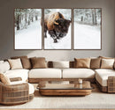 Bison Wall Art Canvas Print For Farmhouse, Animal Canvas