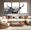 Black White Scottish Highland Cow Cattle Art Print Farmhouse