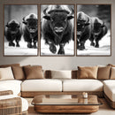 American Bison Art | Buffalo Herd Wall Art Canvas Print, BW