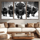 American Bison Art | Buffalo Herd Wall Art Canvas Print, BW