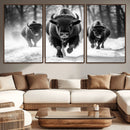 Buffalo Wall Art Canvas Print, Bison Family Wall Art Canvas by MyGreatCanvas | Canvas Wall Art Prints | Photo Prints & Wall Decor