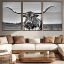 Texas Longhorn Cow Wall Art, Texas Longhorn Canvas, Cattle