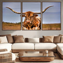 Texas Longhorn Wall Art Print, Framed Longhorn Cow Wall Art