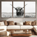 Highland Cow Canvas Wall Art – Majestic Beauty in Black and