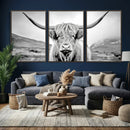 Scottish Cow Wall Art Canvas Print