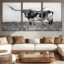 Texas Black White Highland Longhorn Cow Wall Art Canvas by MyGreatCanvas | Canvas Wall Art Prints | Photo Prints & Wall Decor