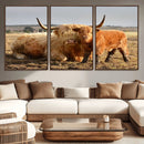 Highland Cow Canvas Wall Art Animal Print for Farm House