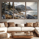 Serene Coastal View of Acadia National Park - Stunning