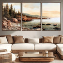 Serene Coastal View of Acadia National Park Wall Art -