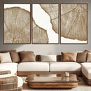 Rustic Brown Tree Ring Wall Art Canvas Print – Framed and