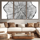 Rustic Tree Ring Wall Art Canvas Print – Framed and Ready to