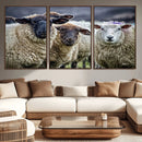 Charming Sheep Portrait Wall Art – Trio of Woolly Companions by MyGreatCanvas | Canvas Wall Art Prints | Photo Prints & Wall Decor