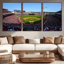 Cincinnati Reds Baseball Canvas Print - American Ball