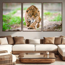 Leopard on the Prowl - Stunning Large Framed Leopard Wall