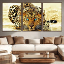 Blue-Eyed Leopard Canvas Wall Art - Framed Animal Print