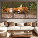 Sleeping Fox Wall Art Canvas Print, Farmhouse Wall Decor and