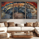 Abstract Tree Ring Wall Art, Colorful Framed Tree Ring Wall