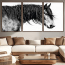 Black Horse Wall Art Canvas Print – Elegant Farmhouse Decor