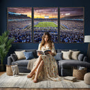 Kroger Field Wall Art Print - Kentucky Stadium Wall Art