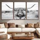 Highland Cow Wall Art Canvas Print – Black and White Western