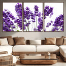 Lavender Flower Wall Art Canvas Print by MyGreatCanvas | Canvas Wall Art Prints | Photo Prints & Wall Decor