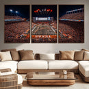 Texas Stadium Night Game Wall Art Canvas Print – Vibrant