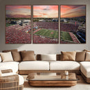 Indiana Memorial Stadium Wall Art Canvas Print, Framed