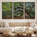 Historic Tree Wall Art – Framed Mossy Branch Canvas Artwork, by MyGreatCanvas | Canvas Wall Art Prints | Photo Prints & Wall Decor