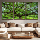 Oak Tree Wall Art Print, Forest Canvas Wall Art for Home and by MyGreatCanvas | Canvas Wall Art Prints | Photo Prints & Wall Decor