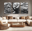 Ancient Oak Wall Art Canvas Print – Gnarled Tree Twisted