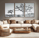 Joshua Tree Wall Art Canvas Print – Framed Black White