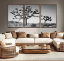 Joshua Tree Wall Art Canvas Print – Framed Monochrome Desert