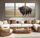 Bison Wall Art Canvas Print – Framed Buffalo American Bison