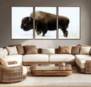 Bison Wall Art Canvas Print – Framed Western Wildlife by MyGreatCanvas | Canvas Wall Art Prints | Photo Prints & Wall Decor