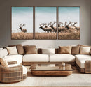Elk Herd Wall Art Canvas Print – Framed Wildlife Photography