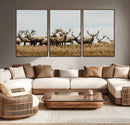 Elk Herd Wall Art Canvas Print – Framed Wildlife Photography