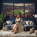 Chicago Bears Soldiers Field Wall Art Canvas Print – Framed