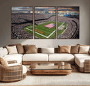 Chicago Bears Soldiers Field Wall Art Canvas Print – Framed