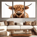 Scottish Highland Cow Canvas Print, Framed Highland Cow