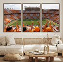 Tennessee Neyland Stadium Wall Art, Sports Arena Canvas by MyGreatCanvas | Canvas Wall Art Prints | Photo Prints & Wall Decor