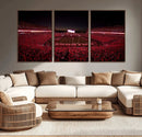Dooley Stadium Wall Art, Sports Arena Canvas Print, Dooley by MyGreatCanvas | Canvas Wall Art Prints | Photo Prints & Wall Decor
