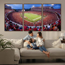 Dooley Stadium Wall Art, Sports Arena Canvas Print, Dooley by MyGreatCanvas | Canvas Wall Art Prints | Photo Prints & Wall Decor